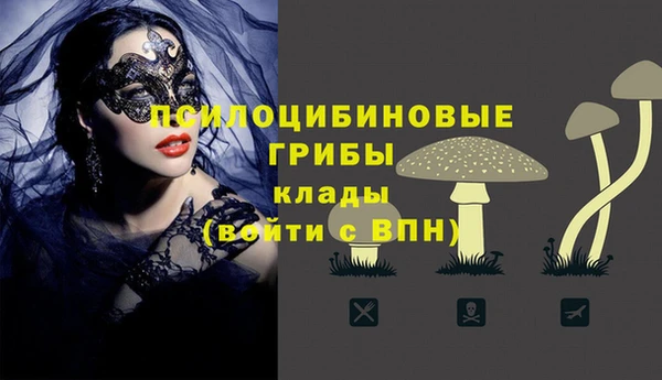 прущий лед Касимов