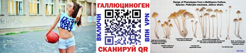 Купить где  Кимры  Псилоцибиновые грибы мицелий 
