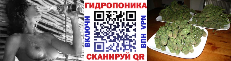 Купить где  Кимры  Бошки марихуана план 